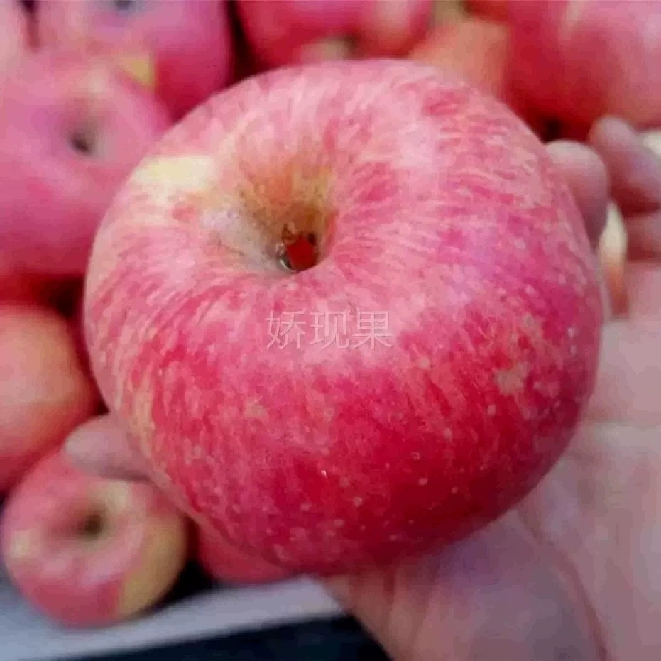 苹果水果新鲜山西红富士冰糖心丑平果脆甜水果当季整箱10斤包邮批