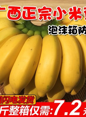 广西小米蕉10斤当季新鲜水果现摘现发苹果蕉粉蕉小鸡蕉香蕉整箱批