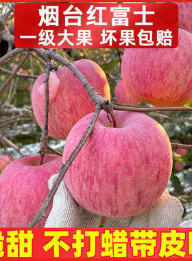 山东烟台栖霞红富士苹果10斤带箱现摘新鲜水果当季批脆甜萍果