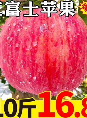 陕西红富士苹果10斤冰糖心当季新鲜水果一整箱批应季脆甜丑脆苹果