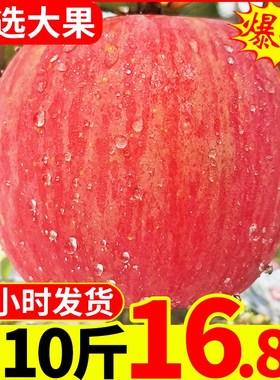 富士苹果水果新鲜10斤 装山西红富士丑苹果冰糖心脆甜批当季整箱