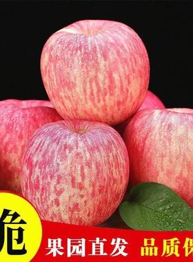 陕西红富士苹果10斤冰糖心新鲜水果当季应季一整箱批脆甜丑脆苹果