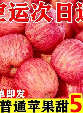 【超低价】陕西冰糖心红富士苹果当季水果新鲜包邮整箱批3/5/10斤