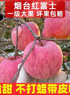 山东烟台栖霞红富士苹果10斤带箱现摘新鲜水果当季批脆甜萍果