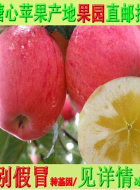 10月底发正宗特级新疆阿克苏冰糖心大苹果水果新鲜整箱包邮应季斤