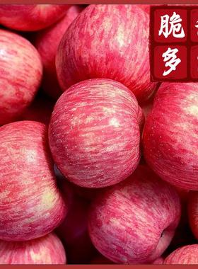 陕西苹果水果新鲜红富士应当季10斤整箱脆甜冰糖心丑萍果批大包邮