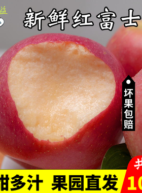 苹果水果新鲜10斤整箱红富士现摘产地直发大沙河糖心丑苹果当季批