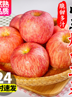 山东烟台红富士苹果水果新鲜当季整箱10脆甜丑萍果批净重9斤包邮