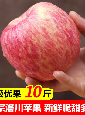 现货正宗陕西洛川苹果水果红富士脆甜10斤新鲜一整箱批大果冰糖心