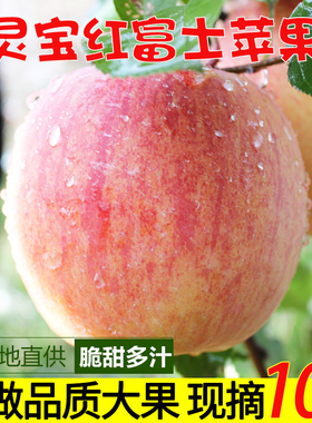灵宝红富士 苹果水果新鲜10斤应当季整箱批脆甜冰糖心丑平果