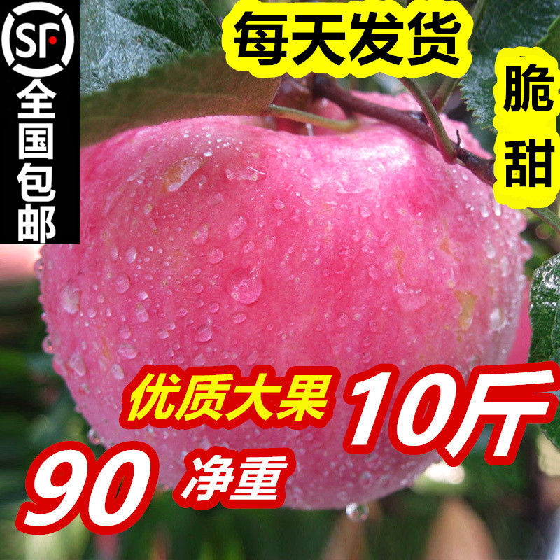 现摘山东烟台栖霞红富士苹果水果5/10斤包邮批新鲜条纹苹果礼盒