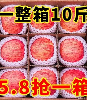 洛川苹果红富士新鲜水果整箱当季丑冰糖心时令脆甜多汁10斤批1发