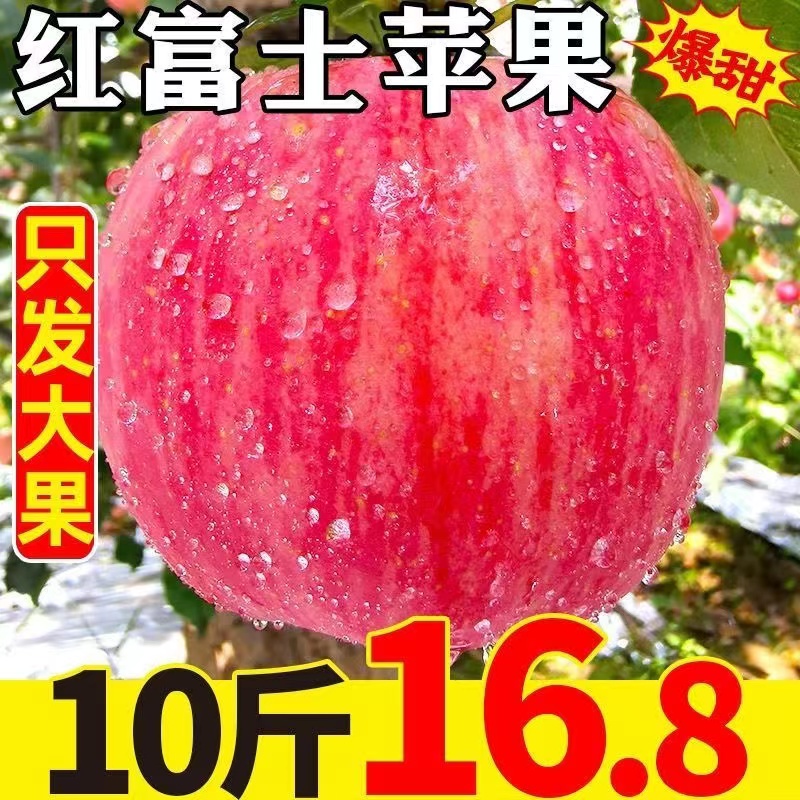陕西红富士苹果10斤冰糖心当季新鲜水果一整箱批应季脆甜丑脆苹果
