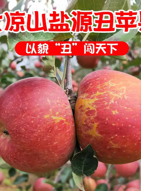 四川盐源大凉山丑苹果冰糖心红将军苹果新鲜现摘水果带箱10斤