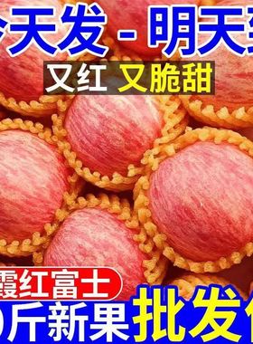 烟台红富士苹果水果新鲜当季时令整箱山东栖霞平果脆甜冰糖心10