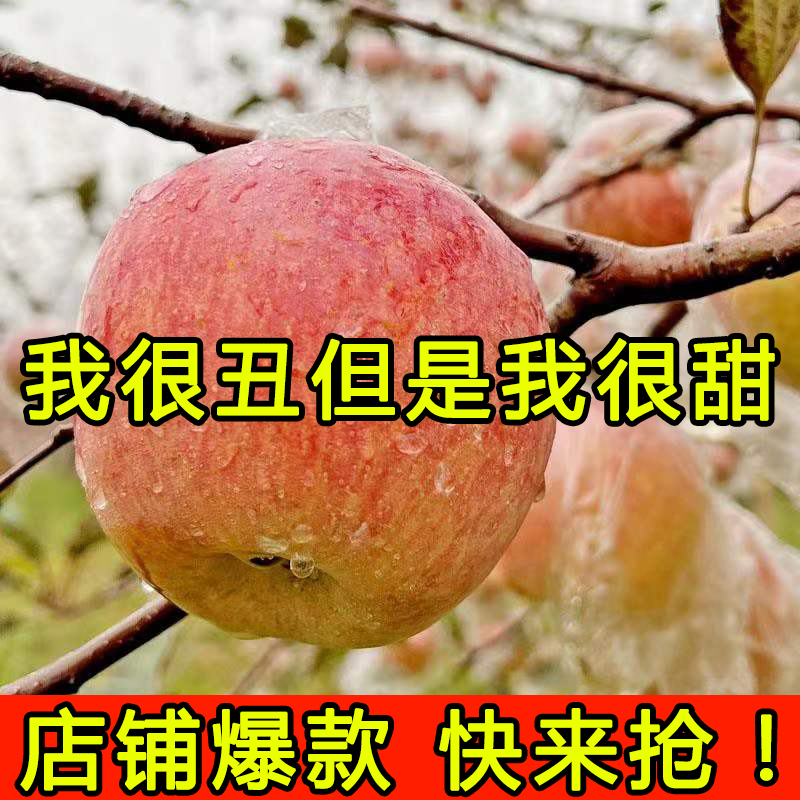 山西高原红富士苹果水果新鲜当季整箱丑萍果脆甜冰糖心平果礼盒装