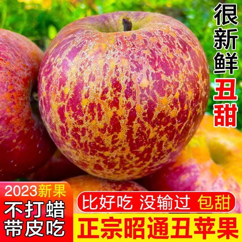 正宗云南昭通冰糖心丑苹果新鲜水果甜脆大凉山红富士甜苹果5-9斤