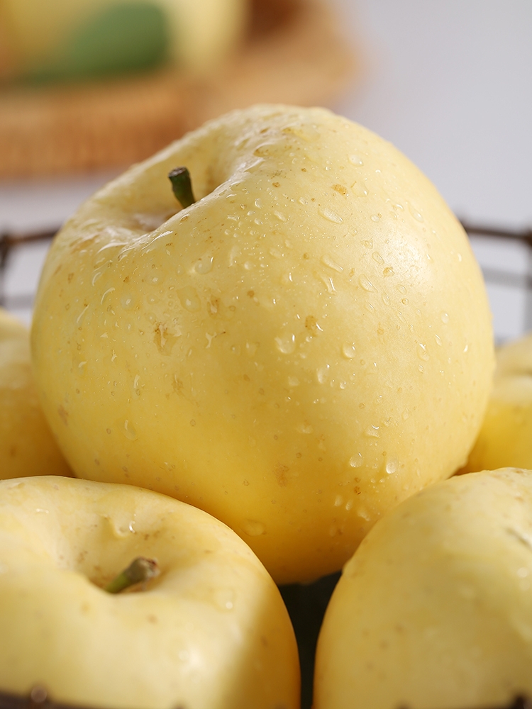 新鲜采摘黄金奶油富士白苹果山东烟台当季水果脆甜冰糖心5斤