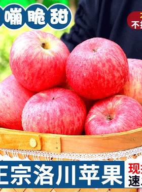 正宗洛川苹果水果新鲜当季整箱陕西红富士一级脆甜冰糖心10斤包邮