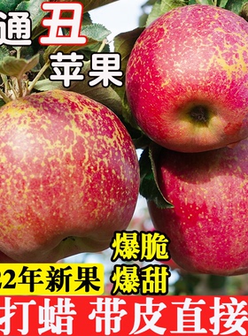 云南昭通冰糖心丑苹果当季的新鲜红富士野生苹果整箱10斤水果包邮
