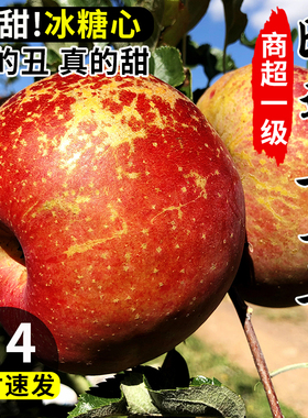 正宗云南昭通丑苹果新鲜水果当季整箱9斤冰糖心富士绍通苹果甜10