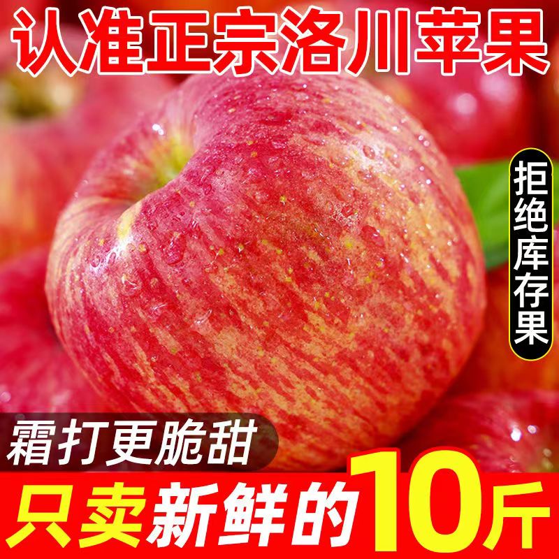 现摘陕西洛川苹果新鲜当季水果整箱红富士冰糖心一级脆甜10斤