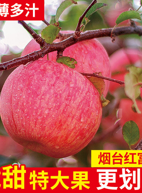 山东烟台红富士苹果10斤新鲜水果应当季栖霞萍果冰糖心丑平果整箱