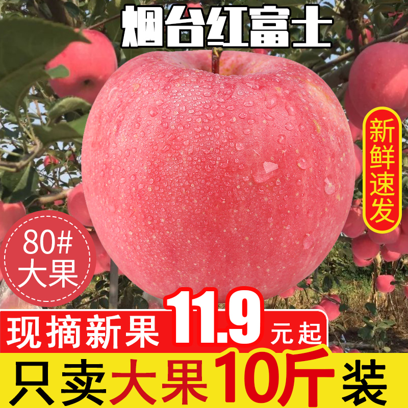 烟台新鲜苹果水果当季红富士10斤脆甜当季现货发整箱冰糖心平安果