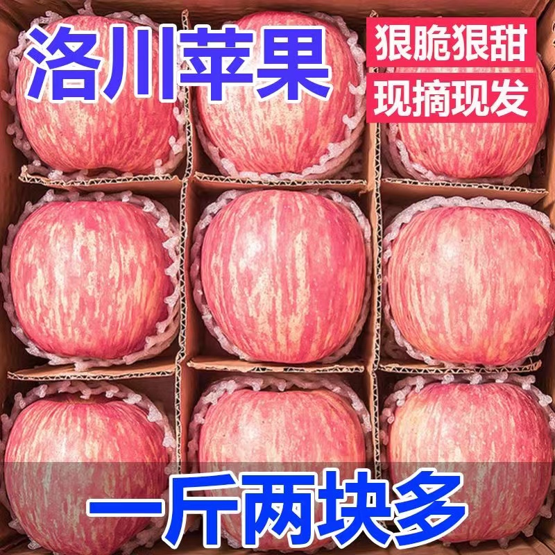 正宗陕西洛川苹果新鲜水果当季整箱应季新红富士苹果冰糖心脆甜9