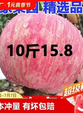 正宗陕西洛川苹果水果新鲜当季红富士冰糖心丑苹果整箱10斤包邮