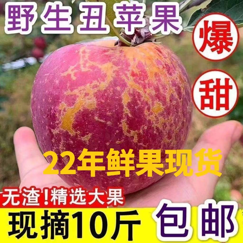 云南昭通新鲜丑苹果冰糖心当季现摘水果脆甜红富士平果野生整箱10