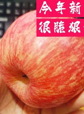 正宗陕西洛川苹果水果新鲜整箱当季红富士特级冰糖心脆甜10斤包邮