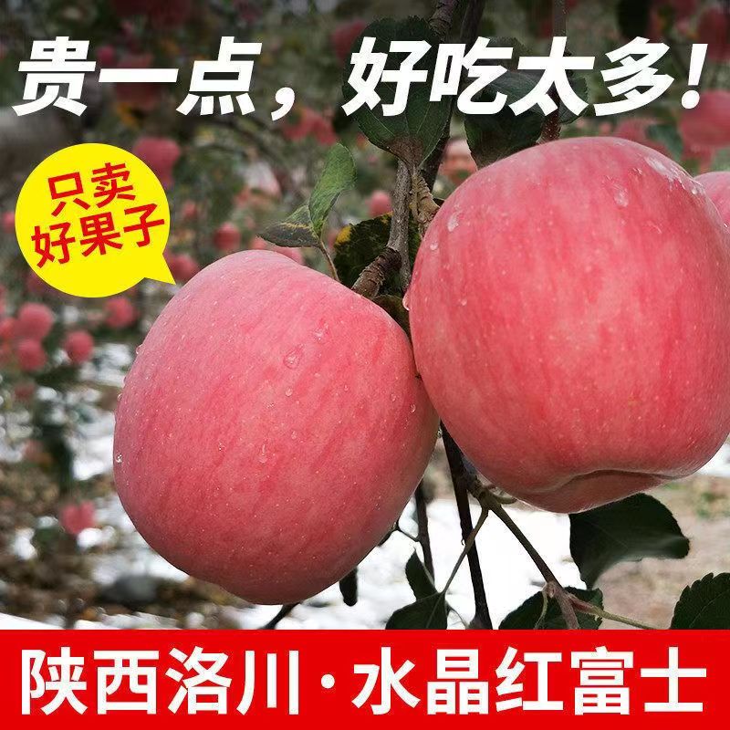 陕西洛川红富士苹果新鲜水果现摘现发脆甜多汁冰糖心孕妇水果包邮