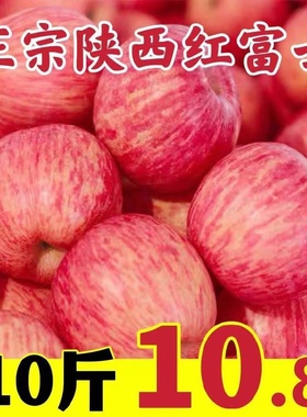 正宗陕西洛川苹果水果新鲜10斤当季红富士冰糖心一级脆甜整箱