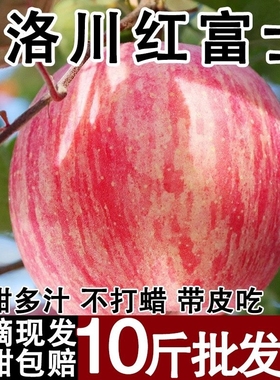 正宗洛川红富士苹果冰糖心脆甜新鲜水果精选大果现摘现发整箱10斤