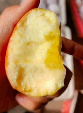 新疆阿克苏冰糖心甜苹果75-80mm中果新鲜水果自家果园9斤包邮