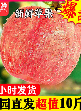 山西脆甜红富士苹果水果新鲜当季冰糖心水果丑苹果整箱现季带10十
