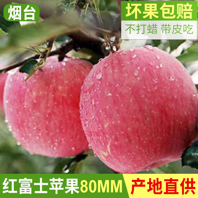 烟台红富士苹果10斤水果新鲜应当季栖霞萍果冰糖心丑平安果整箱