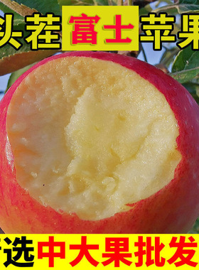 新鲜红富士苹果10斤装冰糖心应当季水果现摘嘎啦青脆甜丑平果整箱