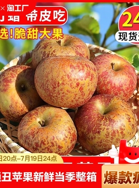 云南昭通丑苹果冰糖心新鲜水果当季红露苹果红富士苹果10斤整箱