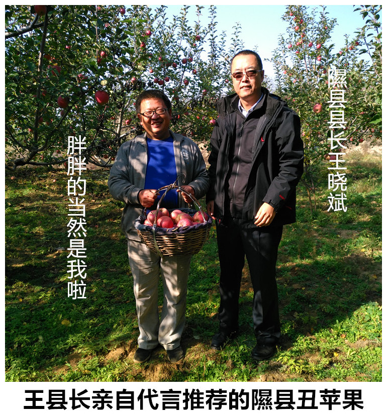 正宗山西隰县新鲜丑苹果自家果园原生态冰糖心苹果水果当季包邮10