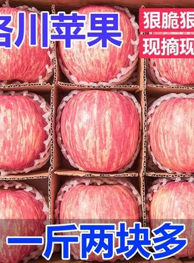 正宗陕西洛川苹果新鲜水果当季整箱应季新红富士苹果冰糖心脆甜9