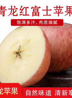 现货水果产地青龙苹果新鲜当季水果脆甜苹果冰糖心红富士