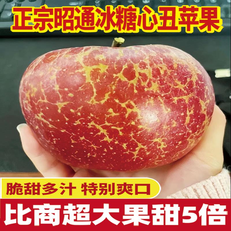 现摘云南昭通市冰糖心丑苹果新鲜水果10斤红露富士当季整箱