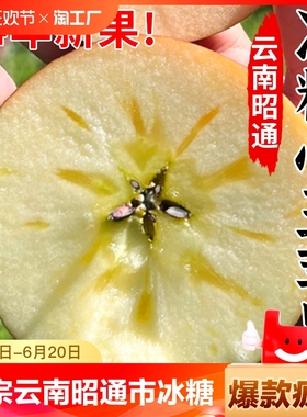 云南昭通市丑苹果冰糖心苹果新鲜水果当季整箱红富士10自然客服