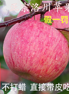 陕西洛川红富士苹果水果新鲜应当季脆甜冰糖心整箱10斤官方旗舰店