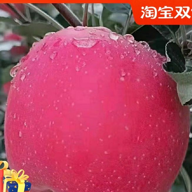 正宗静宁红富士冰糖心新鲜水果山地果土特产农产品丑苹果脆甜多汁