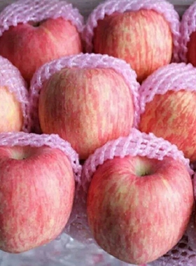灵宝苹果寺河山红富士一级精品冰糖心新鲜水果10斤河南三门峡洛川