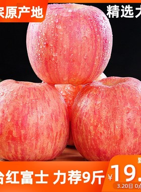 山东烟台红富士苹果大果脆甜冰糖心当季整箱新鲜应季水果农家特产