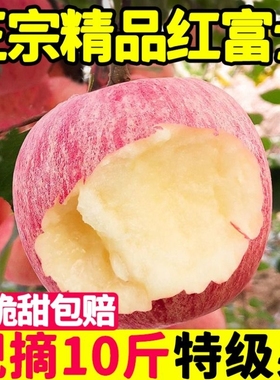 红富士苹果水果新鲜整箱当季脆甜丑平果冰糖心萍果甄选自提上门